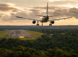 How to Get to Manaus and Board the Untamed Amazon: Everything You Need to Know
