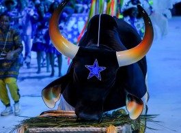 Parintins Festival: The Origins of Boi Caprichoso and Boi Garantido