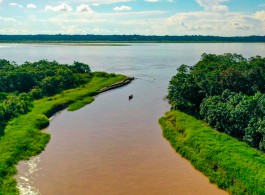 Curiosidades sobre o Amazonas: o maior rio do mundo