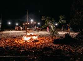 Corporate Events in the Forest: When Your Company's Best Retreat Is in the Middle of the Rio Negro