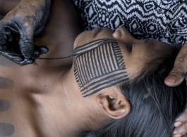 The Art of Body Painting of Brazilian Indigenous Peoples