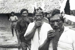 5 tribos que habitam a Amazônia