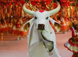 Parintins Special: Who is the biggest winner of the festival?