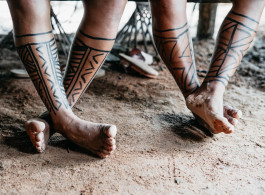 Slow Travel in the Amazon: What It Means to Journey Through the Forest Without Hurry