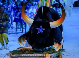 Parintins Special: Curiosities about Boi Caprichoso