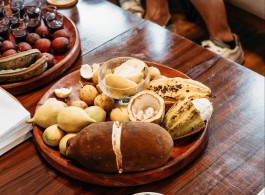 Ingredients of the Forest: Plants and Fruits with Medicinal Uses