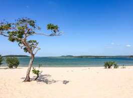 Refresque-se nas praias de água doce da Amazônia