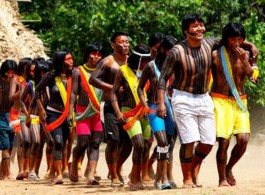 The Origin of Life: Perspectives from the Indigenous Peoples of the Amazon