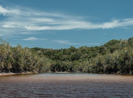Flying Rivers: The Invisible Phenomenon Connecting the Amazon to the Planet’s Climate