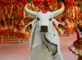 Everything You Need to Know About the Parintins Festival 2025