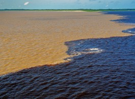 Rio Negro: curiosidades que você não sabe sobre esse rio essencial para a Amazônia