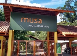 Conheça o MUSA, o museu a céu aberto que preserva a cultura e a natureza amazônica