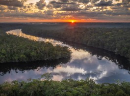 Amazonian Legends and Myths: Stories That Shape the Culture of the Rainforest