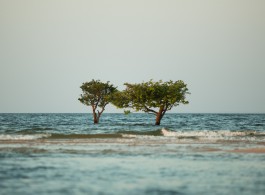 Tudo que você saber antes de viajar para Alter do Chão!