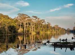 The Amazon Through the Eyes of River Communities