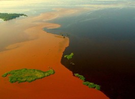 Meeting of the Waters: Discover the Places Where This Phenomenon Occurs in the Amazon
