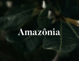 A Amazônia é minha, é sua, é nossa!