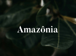 A Amazônia é minha, é sua, é nossa!