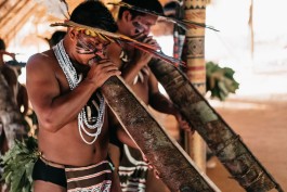 Descubra a Amazônia com a segurança do Cash Back Untamed Amazon!