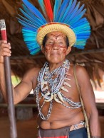 Diário de Bordo Untamed Amazon (28.11 A 02.12.2020)