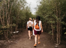 How Does a Cruise Deep in the Amazon Rainforest Work? Everything You Need to Know