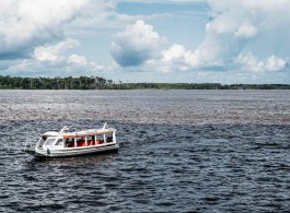 The Color-Changing Rivers of the Amazon