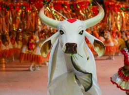 Parintins Special: Curiosities about Boi Garantido