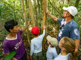 Guia básico para quem está indo para a Amazônia pela primeira vez