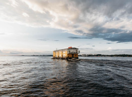 What You Hear in the Amazon: A Journey Through the Sounds of the Forest and the River