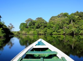 Turismo sustentável: como fazer uma viagem consciente e preservar a floresta amazônica