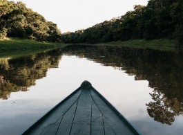 Qual a melhor época para visitar a Amazônia?