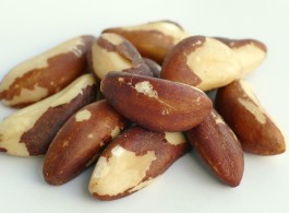 Castanha-do-Pará, do Brasil ou da Amazônia? Qual o termo correto dessa iguaria tipicamente brasileira?