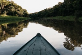 Rios que voam na Amazônia? Como assim?