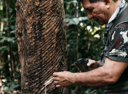 En el bosque, lo que realmente abre caminos es el conocimiento.