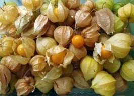 Série Frutas da Amazônia: mais sabores das frutas exóticas da região