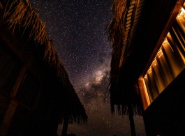 Amazonian Sky: What You See When City Lights Don’t Get in the Way
