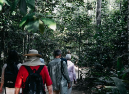 El futuro tiene raíces, y muchas de ellas se hunden en lo profundo del Amazonas.