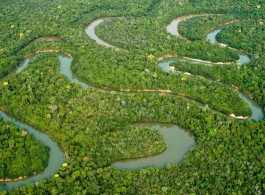 Desvendando os Mistérios da Amazônia: As Fascinantes Lendas da Floresta