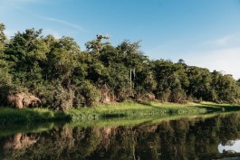 Untamed Amazon e a sustentabilidade
