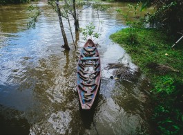 How Riverine Peoples Live in the Amazon