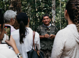 Best Time to Navigate the Amazon: What the Wet and Dry Seasons Each Offer