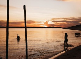 The Silence of the Forest: Sounds (and Stillness) That Reveal Amazonian Secrets