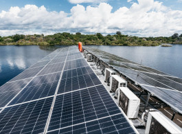 Sustainability Is Not a Concept: It's How the Untamed Amazon Was Built