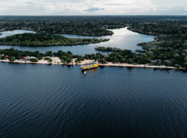 The Forest That Breathes: the Amazon and the Climate It Sustains