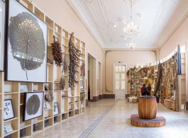 Um mergulho na história: Visite o Museu da Cidade de Manaus e desvende seus segredos!